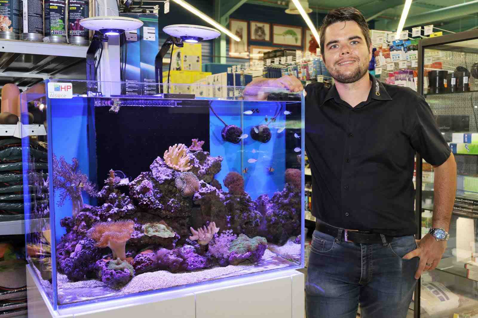 Quel poisson pour un nano aquarium?