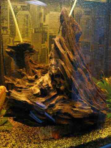 Comment fabriquer un support de branche en bois dans un aquarium?