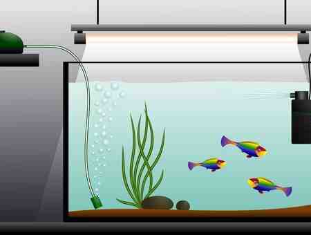 Comment choisir une pompe à eau d'aquarium?